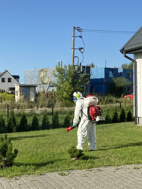 Zabieg zwalczania kleszczy przy wejściu na posesję