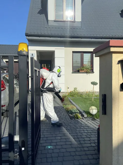 Oprysk wśród tuj — zwalczanie kleszczy i komarów