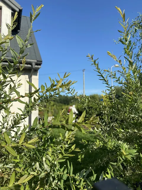 Zwalczanie kleszczy i komarów na posesji prywatnej